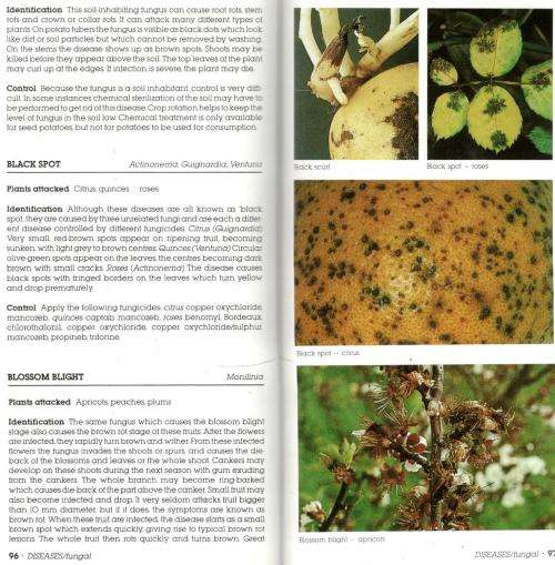 A Guide to Garden Pests and Diseases in South Africa  -  A S Schoeman