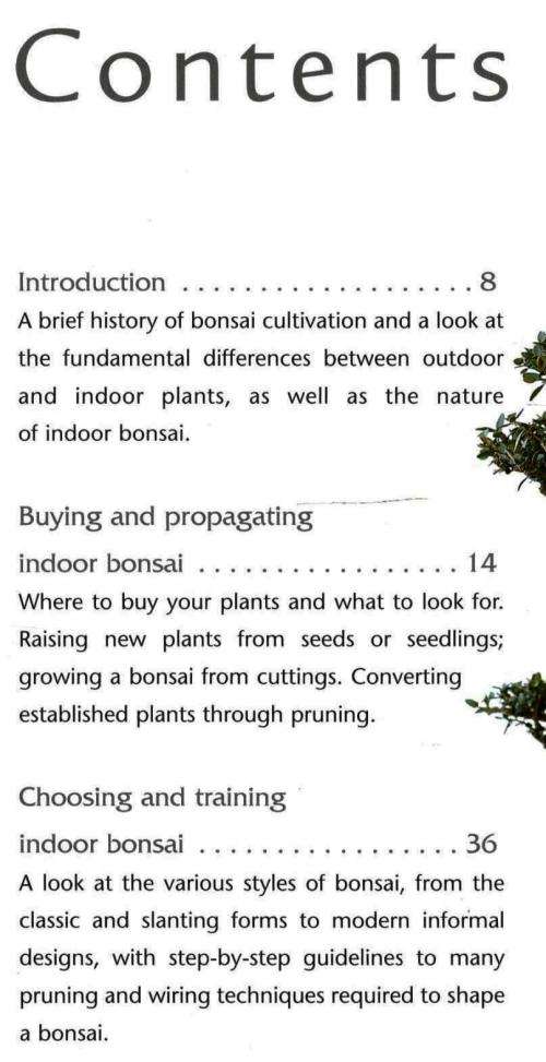 Successful Bonsai -- David Squire