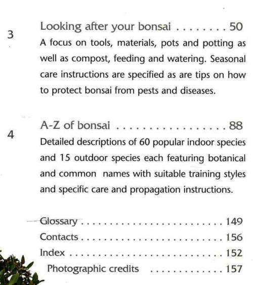 Successful Bonsai -- David Squire