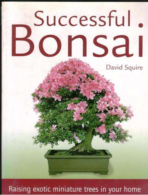 Successful Bonsai -- David Squire