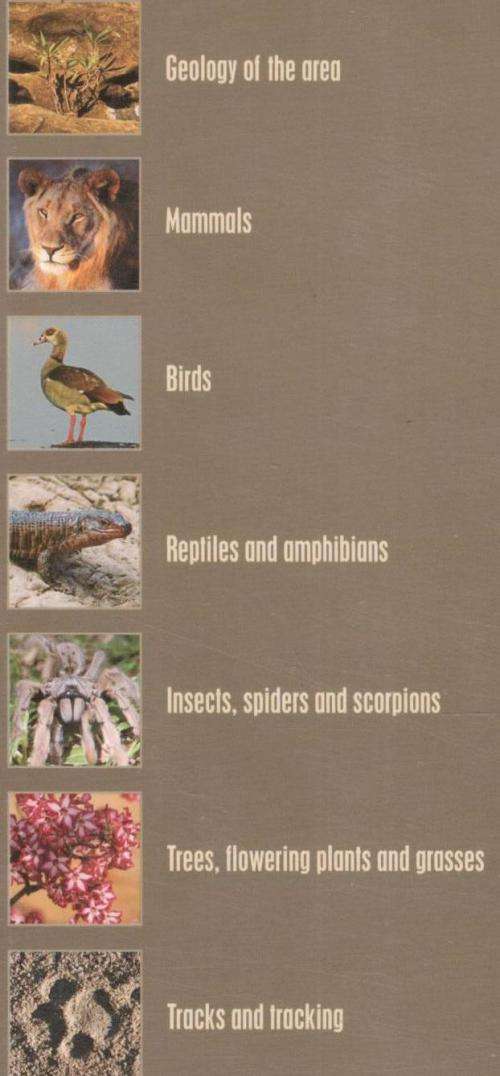 Game Ranger in Your Backpack - All-in-one Interpretative Guide to the Lowveld