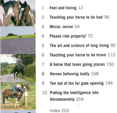 Perfect Partners  -  How to be the Owner Your Horse would Choose for Himself -- Kelly Marks