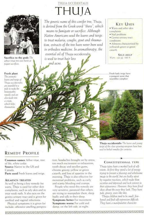 The Complete Guide to Homeopathy  - The Principles and Practice of Treatment