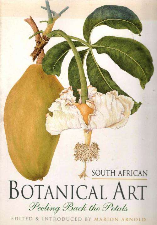 South African Botanical Art  -  Marion Arnold