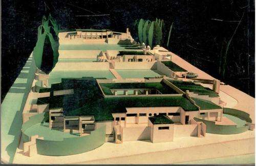 The Little Sparrows of Soweto  -  Catherine Maunder  -  Signed