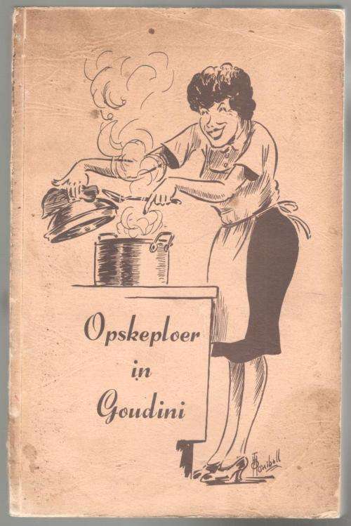 Opskeploer in Goudini  --  Kleinspan Preprimre Skool Rawsonville