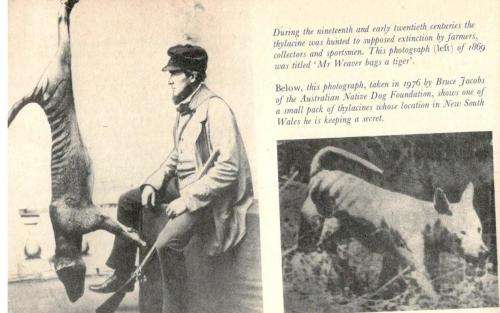 Living Wonders - Mysteries and Curiosities of the Animal World  --  John M and Robert J M Pickard