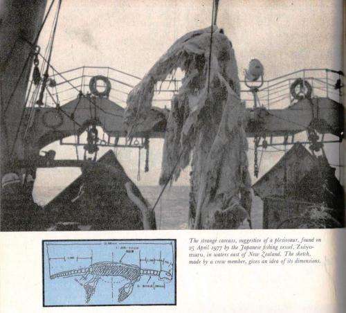 Living Wonders - Mysteries and Curiosities of the Animal World  --  John M and Robert J M Pickard