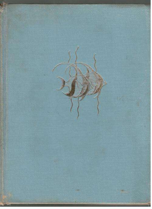 The Sea Fishes of Southern Africa  --   J L B Smith