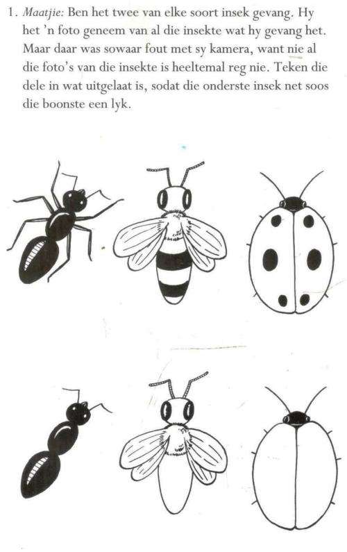 50 Stories met Aktiwiteite