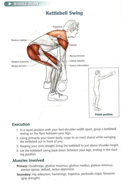 Cycling Anatomy  --  Your Illustrated Guide for Cycling Strength Speed and Endurence  -  S Sovndal