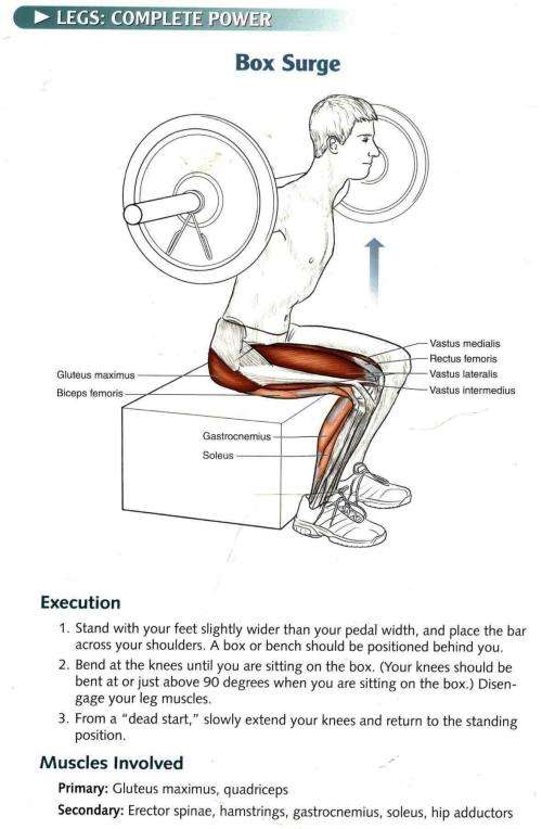 Cycling Anatomy  --  Your Illustrated Guide for Cycling Strength Speed and Endurence  -  S Sovndal