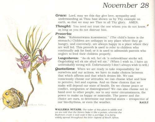 The Evergreen South African Diary  -  Susan Paramore Weyers