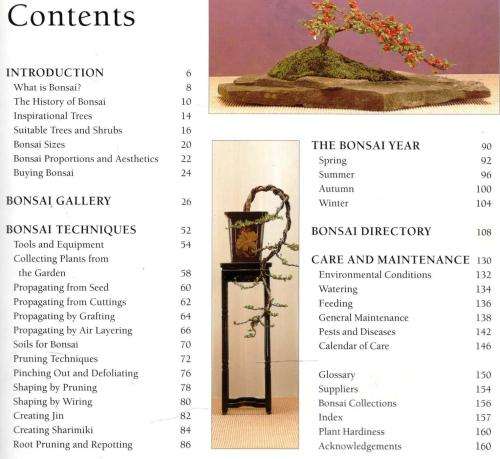 The Bonsai Handbook