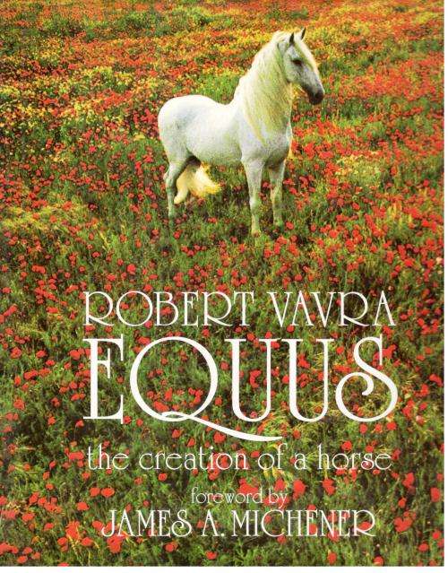 Equus -- The Creation of a Horse  --  Robert Vavra