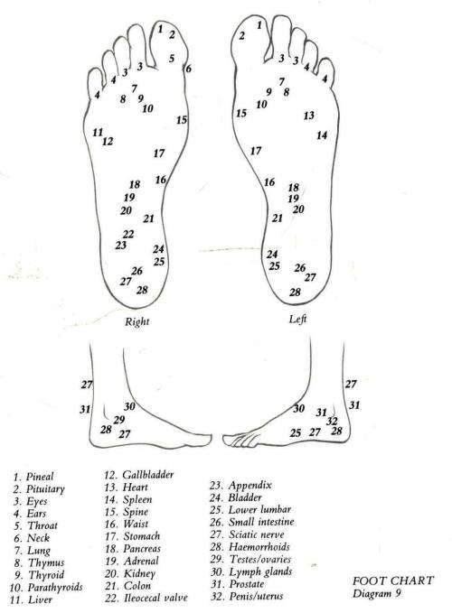 Aromatherapy - A Comprehensive Guide to Essential Oils and Their Uses  -  Judith Jackson