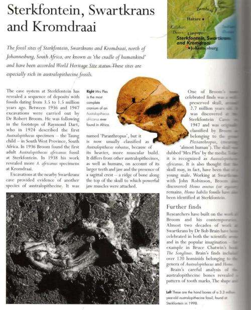 The Complete Practical Encyclopedia of Archaeology