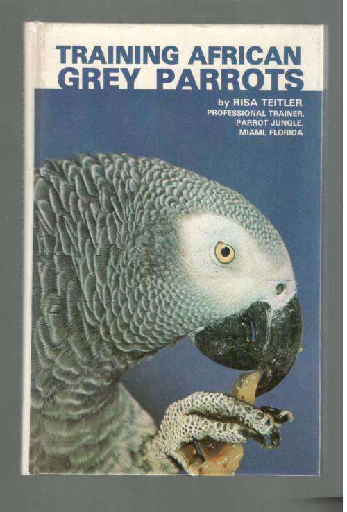 Training African Grey Parrots