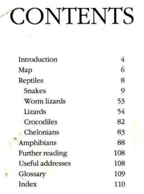 Everyone`s Guide to Snakes in South Africa  -  Bill Branch