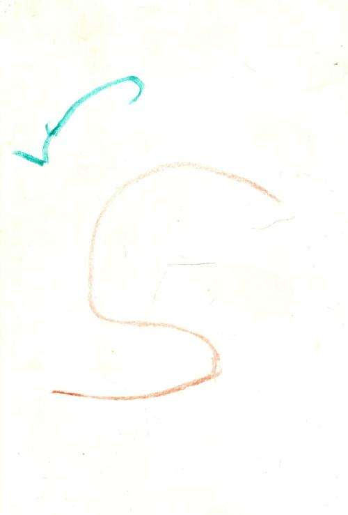 Everyone`s Guide to Snakes in South Africa  -  Bill Branch