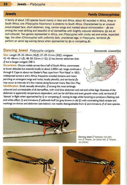 A Guide to the Dragonflies and Damselflies of South Africa  -  Warwick and Michele Tarboton