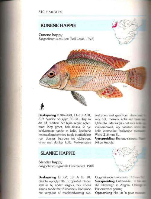 `n Volledige Gids tot die Varswatervisse van Suider-Afrika  --   Paul Skelton