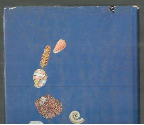 Sea Shells of Southern Africa  -- Richard Kilburn and  Elizabeth Rippey