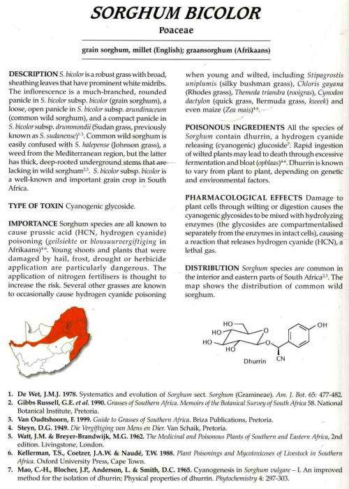 Poisonous Plants of South Africa  ---- Ben-Erik Van Wyk - Fanie  Van Heerden -  Bosch Van Oudtshoorn