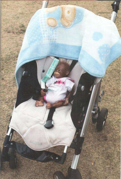 Twenty Journey  --  Three Photographers on a Journey to Explore South Africa