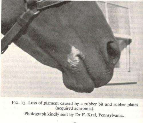 Veterinary Notes for Horse Owners  -  Captain M Horace Hayes