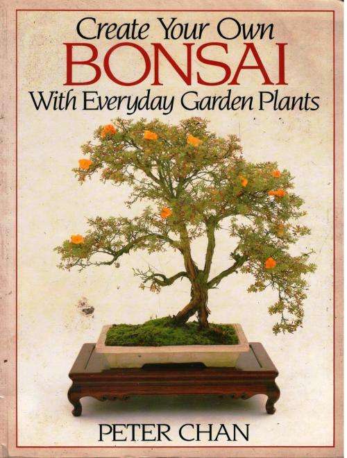 Create Your Own Bonsai With Everyday Garden Plants  -    Peter Chan