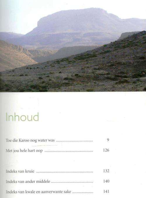 Kruidjie Roer My   --  Die Antieke Heiligskuns van die Karoo-Veld  --  Antoinette Pienaar