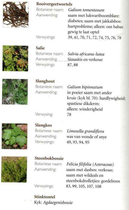 Kruidjie Roer My   --  Die Antieke Heiligskuns van die Karoo-Veld  --  Antoinette Pienaar