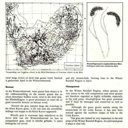 100 Veldplante van die Winterreenstreek - 100 Veld Plants of the Winter Rainfall Region