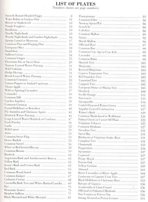 Medicinal Plants  --  An Illustrated Guide to More than 180 Herbal Planys  -   George Graves