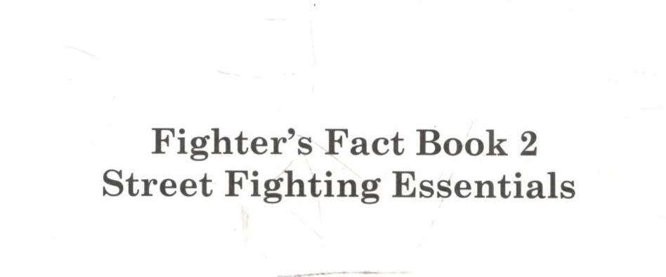 Fighter`s Fact Book  2  --  Loren W Christensen