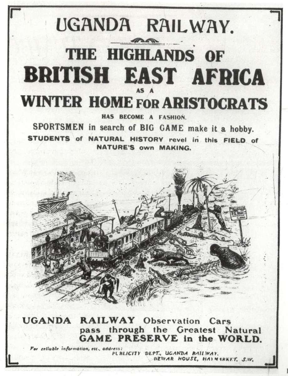 Safari  -  A Chronicle of Adventure  --  Bartle Bull