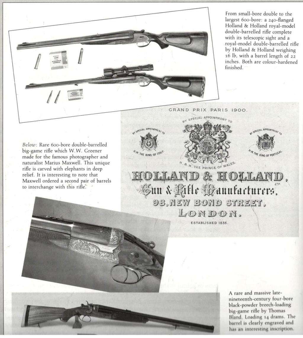 Safari  -  A Chronicle of Adventure  --  Bartle Bull