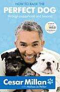 Cesar Millan - How to Raise the Perfect Dog