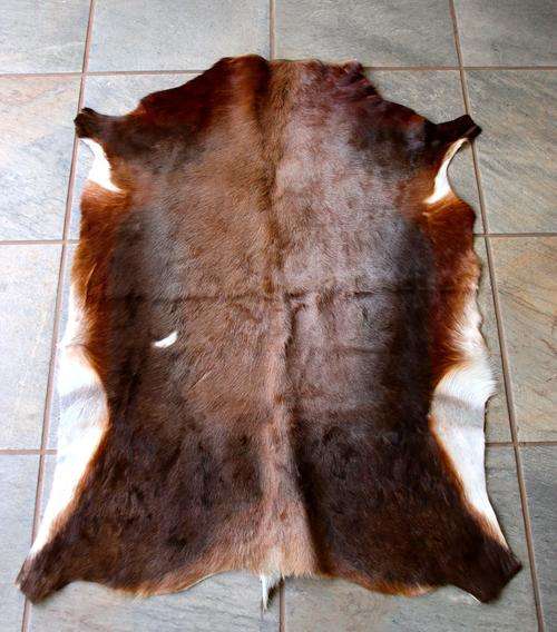 Beautifully Tanned Blesbok Hide (High grade A)