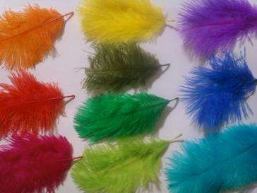 Wedding Feather Confetti
