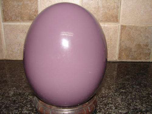 Polished Ostrich Egg ( PURPLE)