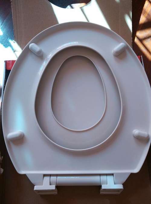 Standard toilet seat with built in child seat