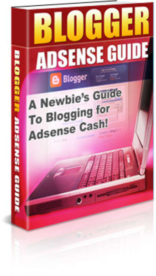 BLOGGER ADSENSE GUIDE- MAKE MONEY THE EASY WAY