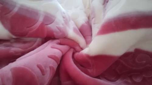 Luxury Mink Embossed Double Blanket Petal