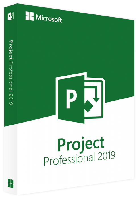 Microsoft Project Professional 2019