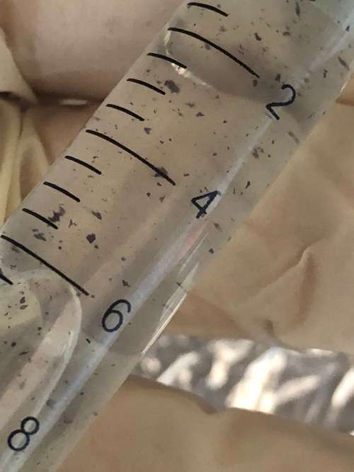 (Special) 20ml Psilocybe Cubensis Mushroom Spore Syringe + 10ml Bonus Syringe!