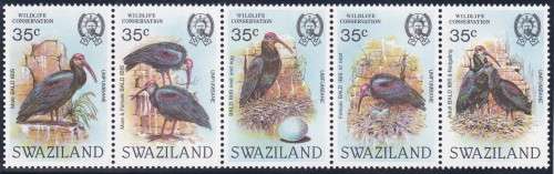 SWAZILAND - 1984 BALD IBIS, FINE U/M STRIP OF 5 - CV:R500!!!!!
