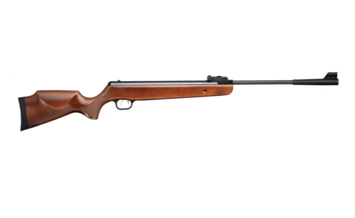 Shaoxing Snow Peak Airgun Factory GS 1250 5.5 mm Air Rifle