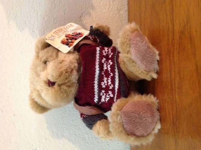 The Teddy Bear Collection Bear